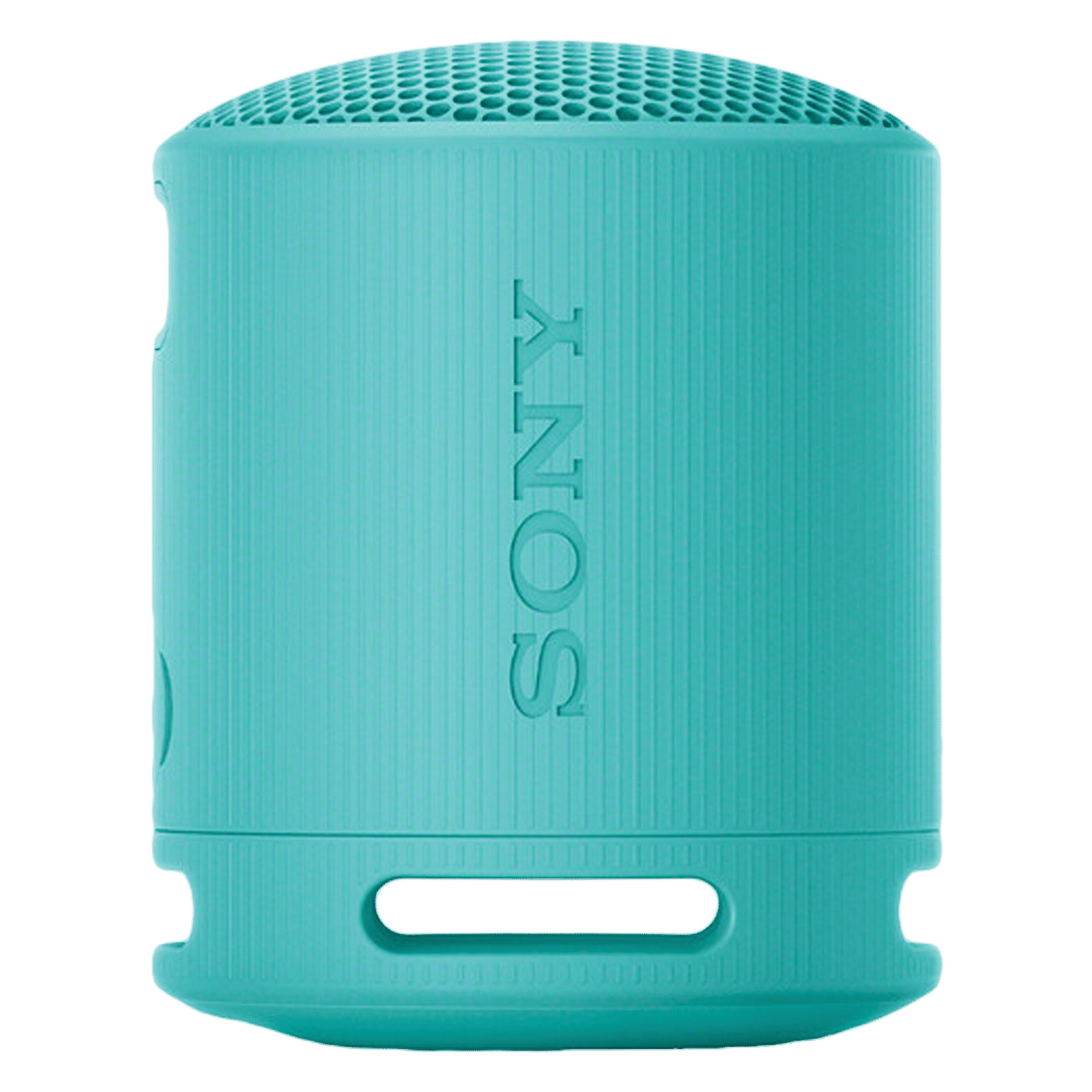 Buy SONY SRSXB100 2.5W Portable Bluetooth Speaker (IP67 Waterproof